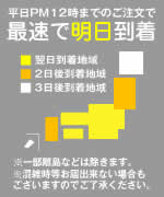 PM12���ޤǤΤ���ʸ�Ǻ�û¨��ȯ��!!����ʸ���������Ƥ�����䡢�������ˡ�Υ��������